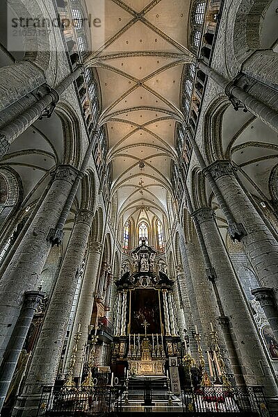 Gotische St. Nikolaus Kirche  Gewölbe und Säulen des Mittelschiffs  Gent  Flandern  Belgien  Europa