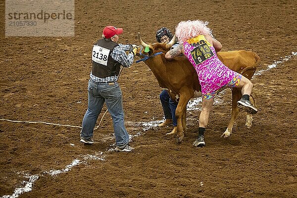 Oklahoma City  Oklahoma  The Great Plains Rodeo  ein jährlich stattfindendes Rodeo für Schwule  bei dem traditionelle Rodeowettbewerbe stattfinden und gleichzeitig die Kameradschaft der LGBTQ Gemeinschaft betont wird. Beim Wild Drag Racing müssen drei Personen einen Ochsen über eine Linie ziehen und der Teilnehmer im Schlepptau muß ihn dann wieder über die Linie reiten