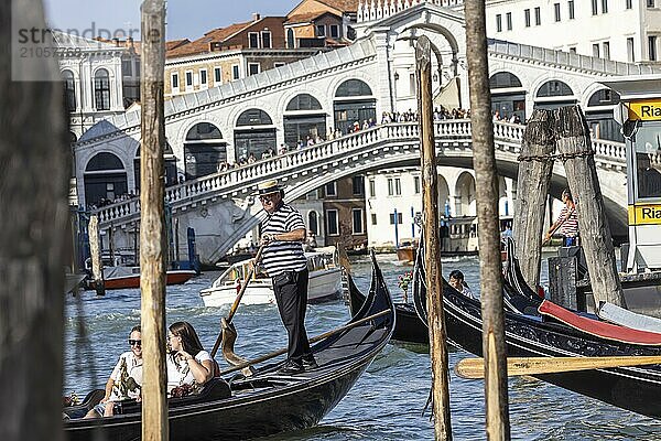 Venezianische Gondel mit Gondoliere unterwegs auf dem Canal Grande  Rialtobrücke  Venedig  Venezien  Italien  Europa