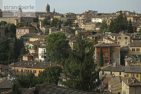 Arezzo