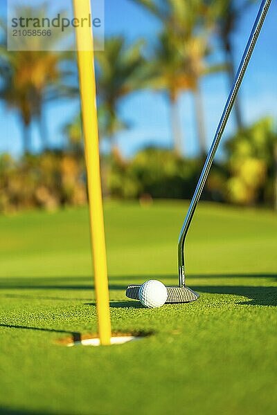 Golfschläger und Golfball auf einem grünen Rasen in einem schönen Golfplatz