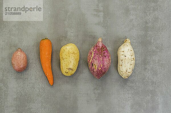 Große Konzept der gesunden Ernährung  verschiedene Gemüse  Kartoffeln  Süßkartoffeln  Karotten  auf grauem Hintergrund  poliertem Beton