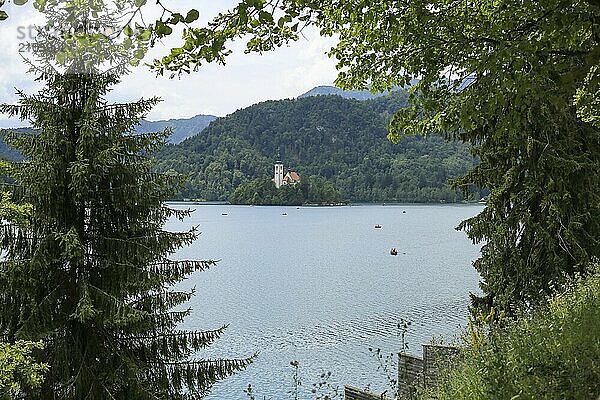 Bleder See Slowenien. Schöne Bergsee im Sommer mit kleinen Kirche auf einer Insel mit Schloss auf Klippe und europäischen Alpen im Hintergrund