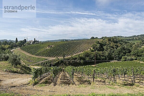 Schöne Aussicht auf die toskanische Landschaft und Sehenswürdigkeiten. Traubenfelder und Olivenöl. Von Montalcino über Montepulciano bis Siena. Sommer in Italien