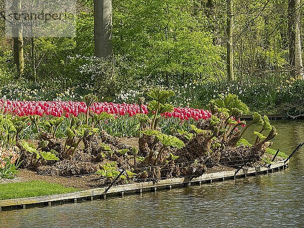 Ein Garten am Fluss mit blühenden Blumenbeeten  hauptsächlich roten Tulpen  und grünem Hintergrund  amsterdam  niederlande