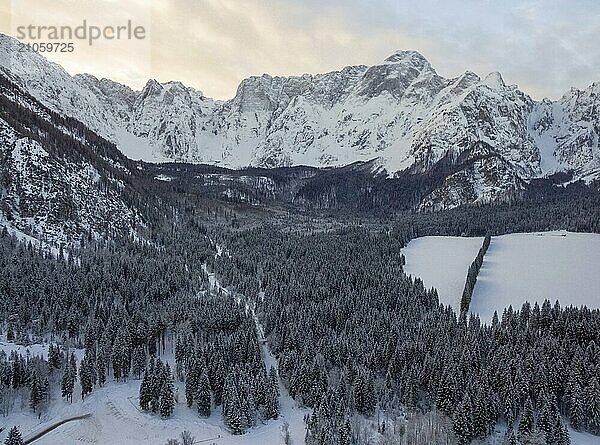 Schöne Winterlandschaft mit schneebedeckten Bäumen