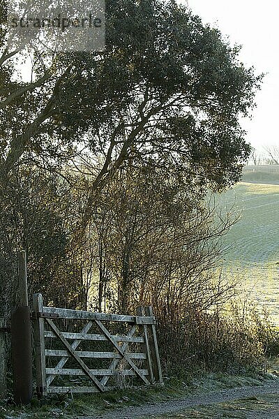 Winterszene eines Tores und eines Weges  der in ein Feld in den South Downs in Sussex führt