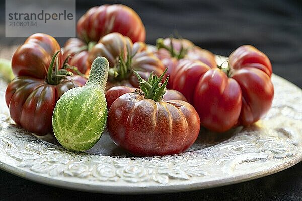 Tomaten  Ochsenherzen und einer Vorgebirgstrauben-Einlegegurke auf einem dekorativen Teller auf schwarzem Grund  Baden-Württemberg  Deutschland  Europa