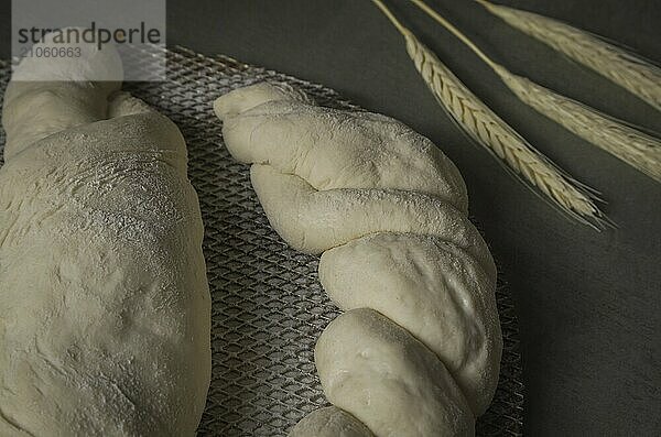 Gärendes Sauerteigbrot  grauer Hintergrund mit getrockneter Weizenblüte