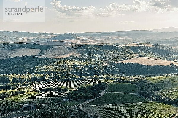 Schöne Aussicht auf die toskanische Landschaft und Sehenswürdigkeiten. Traubenfelder und Olivenöl. Von Montalcino über Montepulciano bis Siena. Sommer in Italien