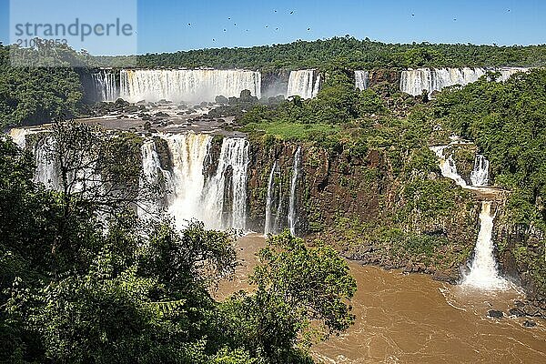 Blick auf die spektakulären Iguazu Wasserfälle mit der Insel San Martin  dem Salto Tres Mosqueteros (Drei Musketiere) und dem Salto Rivadavia im Sonnenschein  Argentinien  Südamerika