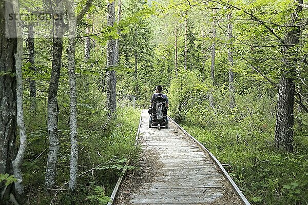 Glücklicher Mann im Rollstuhl in der Natur. Erkundung der Waldwildnis auf einem zugänglichen Feldweg