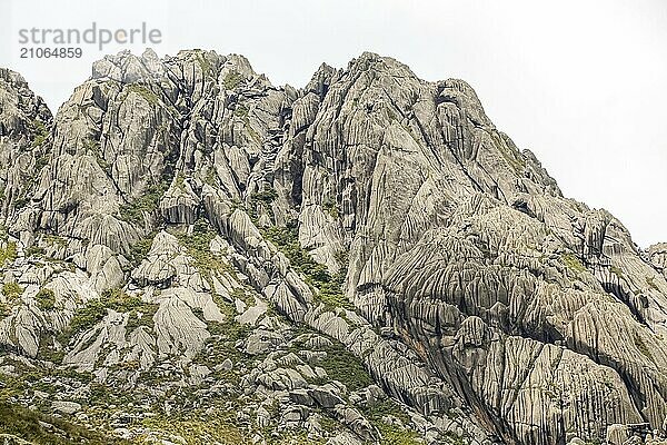 Landschaftlich zerklüftete Granitberge der Serra da Mantiqueira (Mantiqueira Gebirgskette) mit grasbewachsenen Teilen vor hellem Hintergrund  oberes Itatiaia  Brasilien  Südamerika