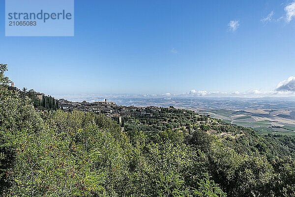 Schöne Aussicht auf die toskanische Landschaft und Sehenswürdigkeiten. Traubenfelder und Olivenöl. Von Montalcino über Montepulciano bis Siena. Sommer in Italien