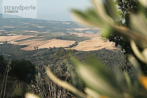 Schöne Aussicht auf die Toskana. Brunello di Montalcino Weinfelder vom Castello di Velona. Sommerlandschaft und Wahrzeichen in der Nähe von Montalcino