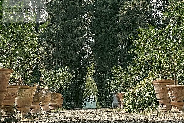 Blick auf die Stadt Panzano in Chianti. Architektur und Sehenswürdigkeiten dieser schönen Stadt in der Toskana voller Traubenfelder  wo der Chianti Wein hergestellt wird