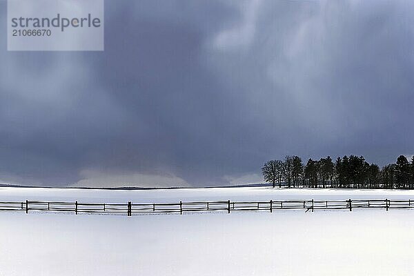 Winter landscape 2