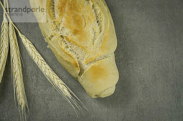 Schönes Sauerteigbrot auf grauem Hintergrund mit getrockneter Weizenblüte