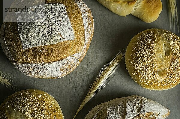 Schönes Sauerteigbrot auf grauem Hintergrund mit getrockneter Weizenblüte