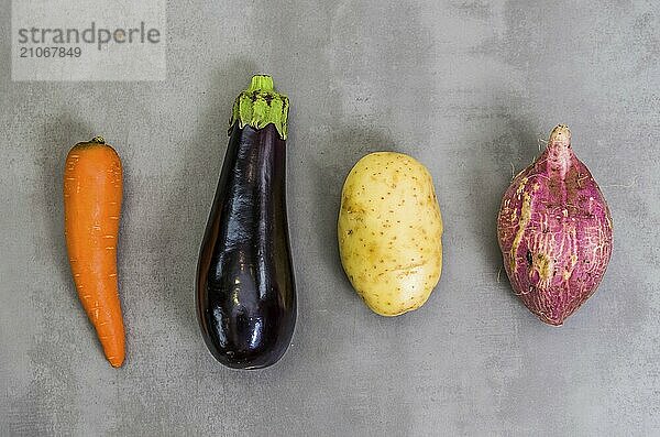 Großes Konzept der gesunden Ernährung  Gemüse  Kartoffel  Süßkartoffel  Karotte  Aubergine. Grauer Hintergrund  polierter Beton