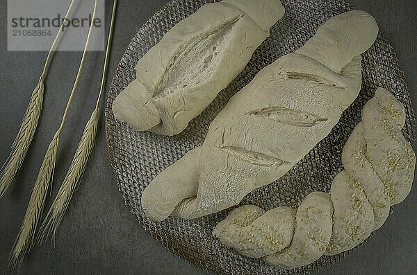 Gärendes Sauerteigbrot  grauer Hintergrund mit getrockneter Weizenblüte