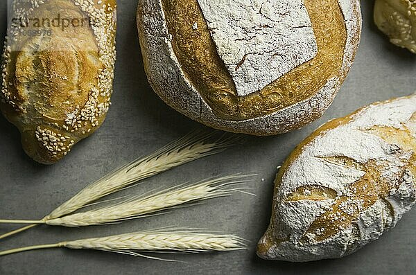 Schönes Sauerteigbrot auf grauem Hintergrund mit getrockneter Weizenblüte