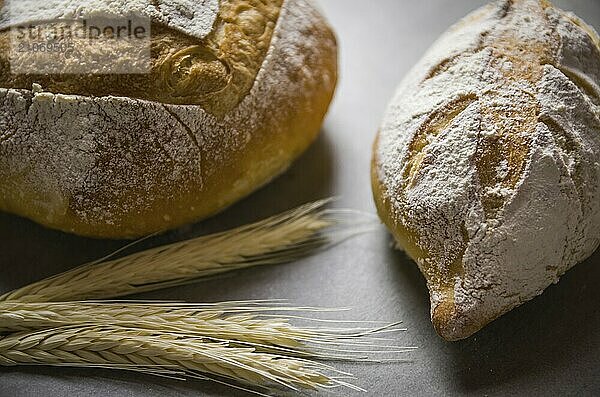 Schönes Sauerteigbrot auf grauem Hintergrund mit getrockneter Weizenblüte