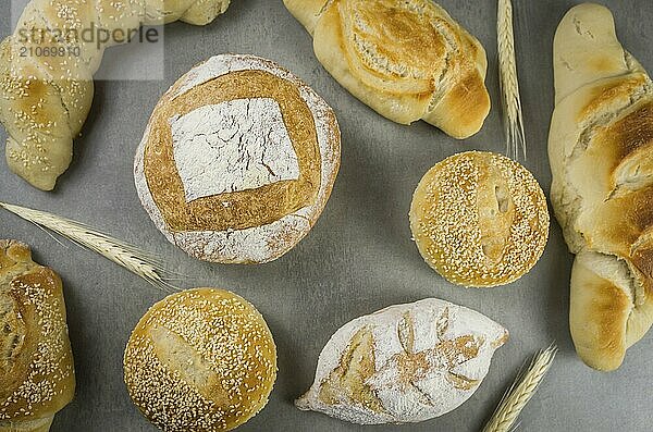 Schönes Sauerteigbrot auf grauem Hintergrund mit getrockneter Weizenblüte