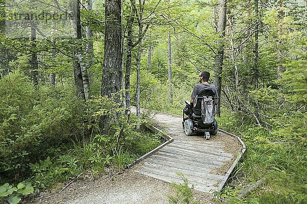 Glücklicher Mann im Rollstuhl in der Natur. Erkundung der Waldwildnis auf einem zugänglichen Feldweg