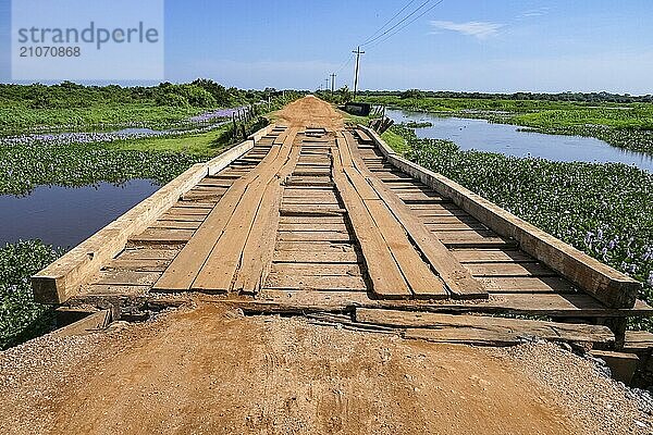 Typische Holzbrücke an der Tranpantaneira Straße im nördlichen Pantanal Feuchtgebiet  Mato Großo  Brasilien  Südamerika