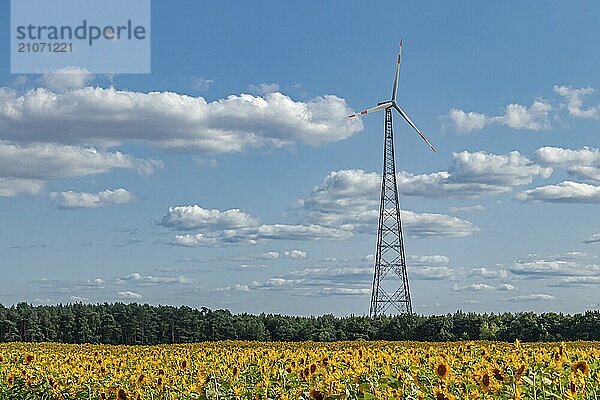 Erneuerbare Energie