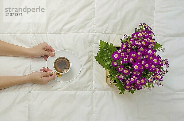 Arm einer Frau mit einer Tasse schwarzen Tees und lila Blumen auf einem weißen Bett