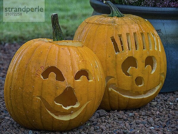 Zwei geschnitzte Halloween-Kürbisse mit fröhlichen Gesichtern  die auf dem Boden stehen  borken  münsterland  deutschland