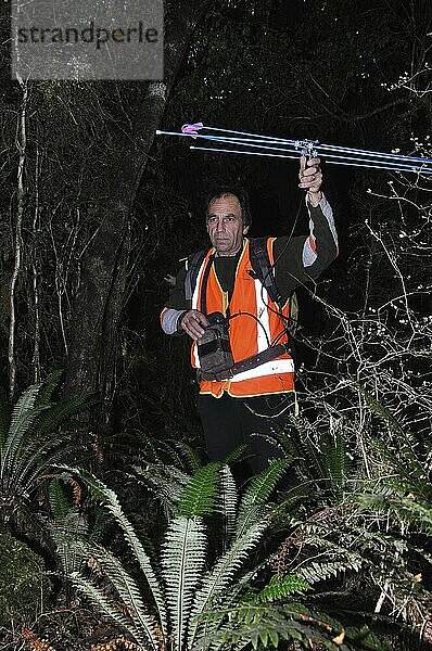 GREYMOUTH  NEUSEELAND  8. JULI 2010: Ein Mann benutzt ein Ortungsgerät  um mit Peilsendern ausgestattete Bürstenschwanz Opossums (Trichosurus vulpecula) zu orten  am 8. Juli 2010 in der Nähe von Greymouth  Neuseeland  Ozeanien