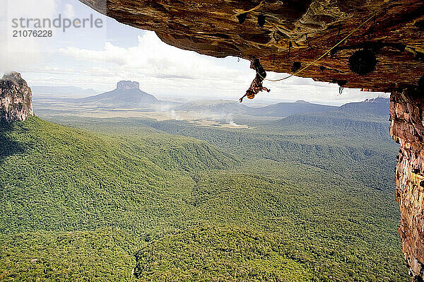 Rock climber hanging from rock ceiling  Amury Tepui  Bolivar  Venezuela