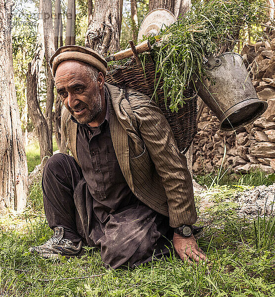 Farmer is going to collect grass from Hushe village