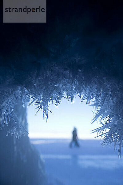 Ice Caves