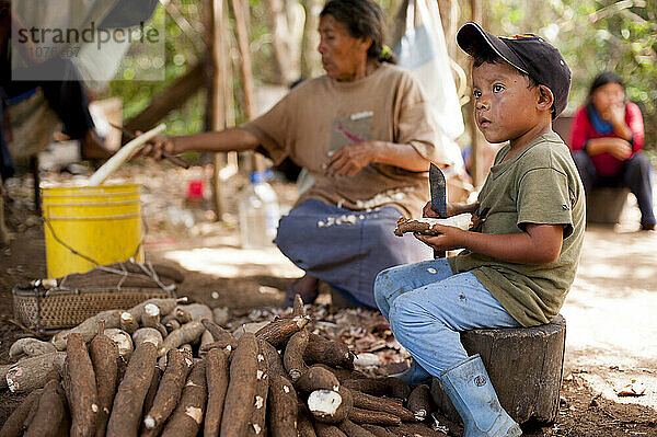 A Family Cleaning The Manioc In Venezuela