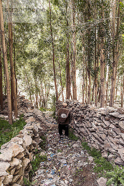 Farmer is going to collect grass from Hushe village