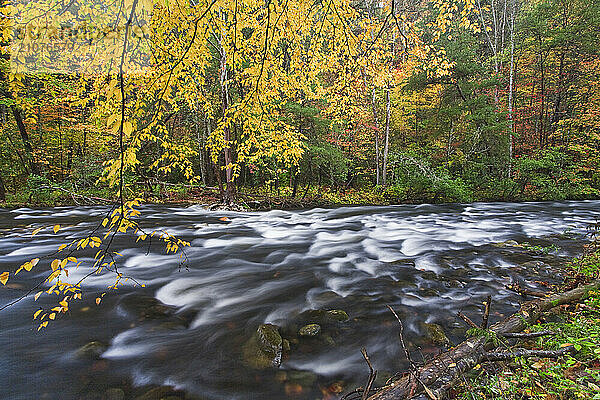 West fork of the Pigeon River in western North Carolina.