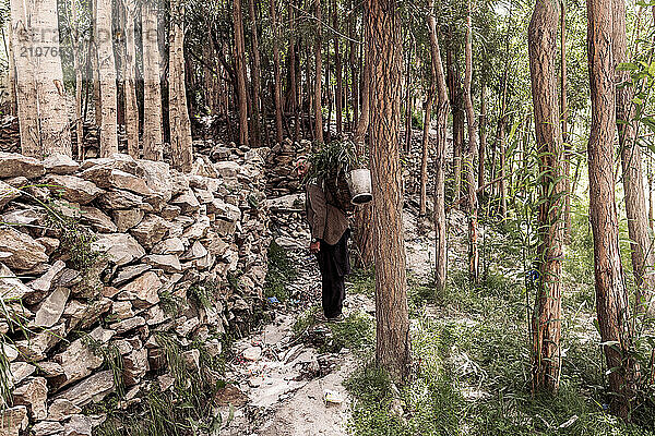 Farmer is going to collect grass from Hushe village