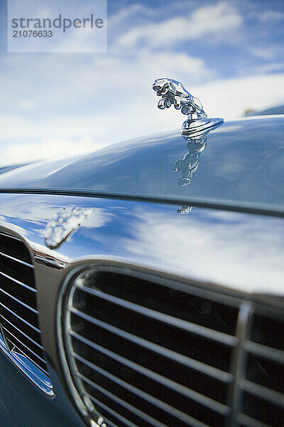 A close-up of a luxury hood ornament reflecting off the hood of the car.