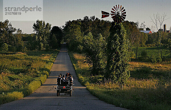 An Amish buggy makes its way along a country road in Bonduel  Wis.