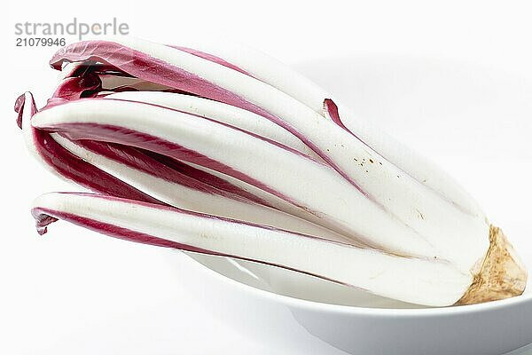 Wilder radicchio rosso di treviso tardivo in einer weißen Schale vor weißem Hintergrund