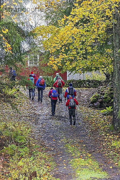 Gruppe von Wanderern auf einem Pfad in einer schönen Herbstlandschaft bei einer roten Hütte  Schweden  Europa