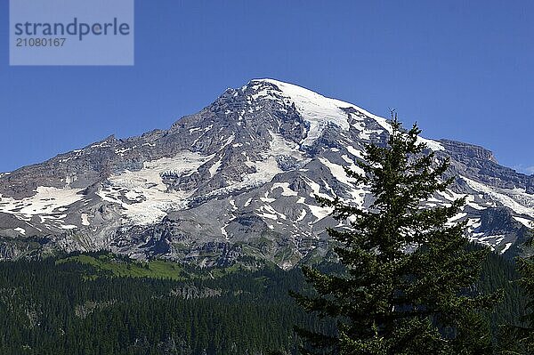 Panorama of Mount Rainier National Park  Washington  USA. Panorama von Mount Rainier Nationalpark  Washington  USA  Nordamerika