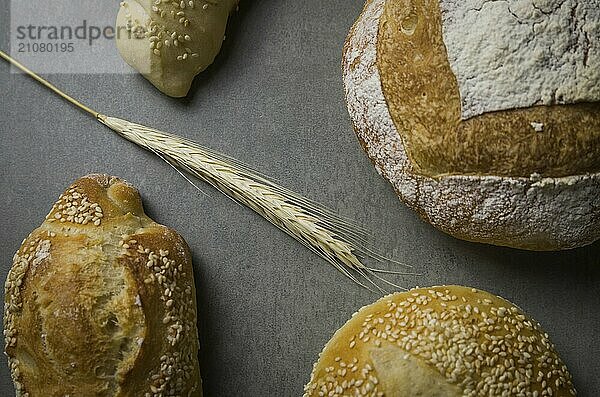 Schönes Sauerteigbrot auf grauem Hintergrund mit getrockneter Weizenblüte