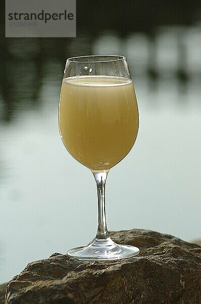 Glas Federweisser auf Stein im Gegenlicht