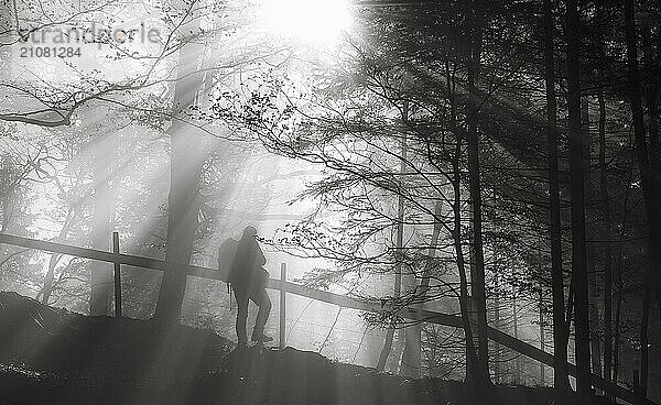 Schwarz Weiß Bild mit der Silhouette eines Mannes  der durch den Wald wandert  auf Pfaden  die von Sonnenstrahlen beleuchtet werden. Foto mit einem starken Kontrast zwischen Schatten und Licht