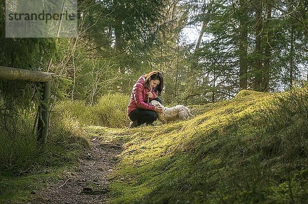 Schöne brünette Frau  die ihren Hund streichelt  auf einem Weg  in einem Tannenwald  unter Sonnenlicht  in den Bergen des Schwarzwalds  in der Nähe der Stadt Seebach  Deutschland  Europa